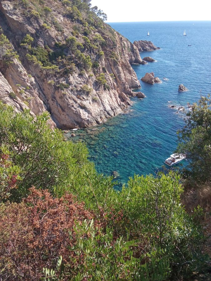 BLUESEA Continental